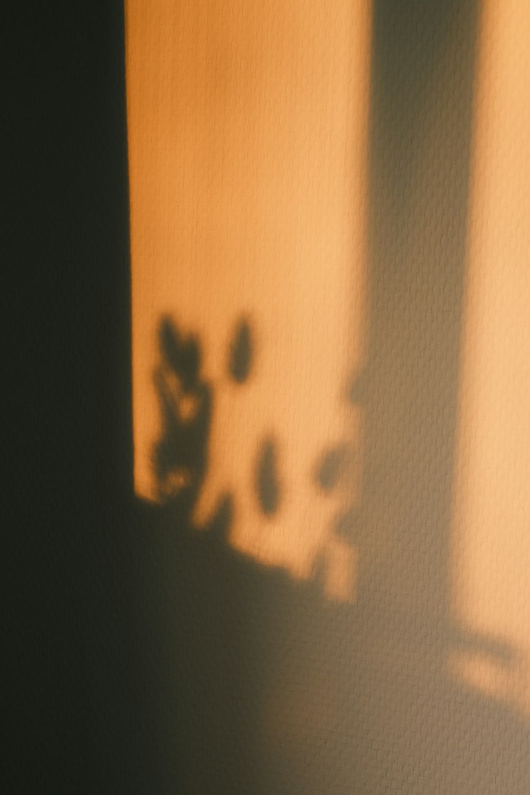江苏启东朝霞映海滩浪漫如画